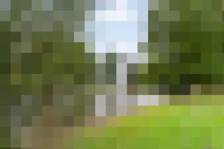 Pruylenborg 142 Zwijndrecht thumbnail 27