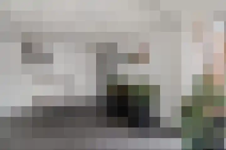 Pruylenborg 142 Zwijndrecht thumbnail 8