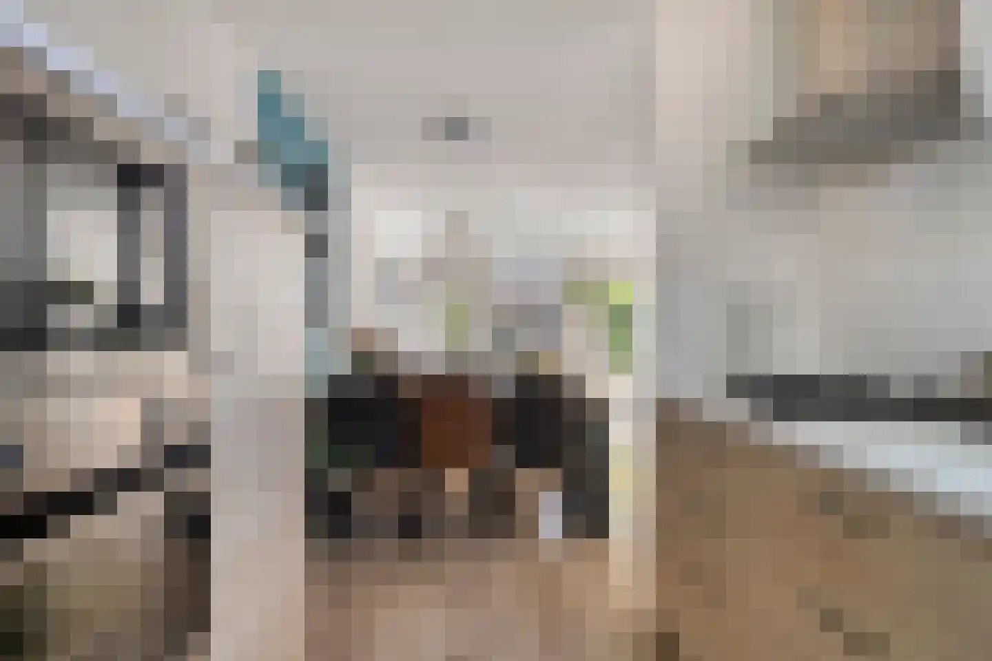 Pruylenborg 146 Hendrik-Ido-Ambacht thumbnail 13