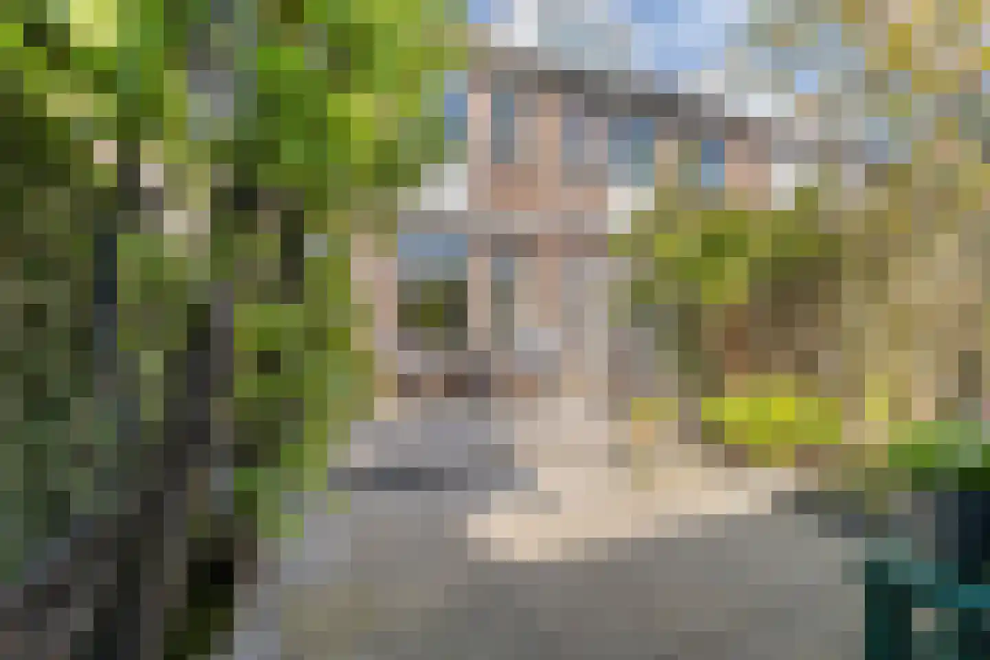 Pruylenborg 146 Hendrik-Ido-Ambacht thumbnail 4
