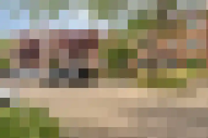 Pruylenborg 147 Hendrik-Ido-Ambacht thumbnail 24