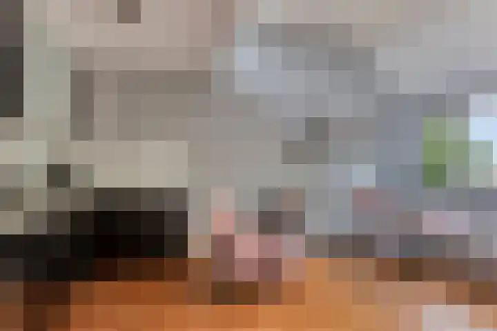 Pruylenborg 147 Hendrik-Ido-Ambacht thumbnail 5