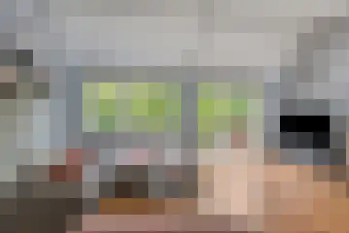 Pruylenborg 147 Hendrik-Ido-Ambacht thumbnail 6