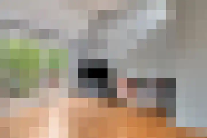 Pruylenborg 147 Hendrik-Ido-Ambacht thumbnail 7