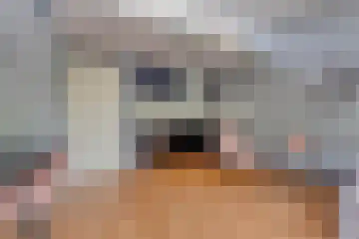 Pruylenborg 147 Hendrik-Ido-Ambacht thumbnail 9