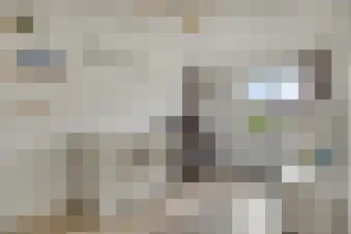 Pruylenborg 150 Hendrik-Ido-Ambacht thumbnail 16