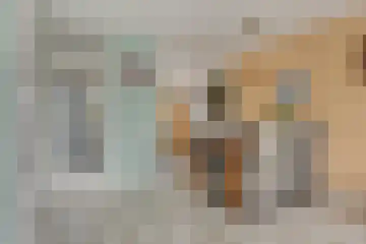 Pruylenborg 150 Hendrik-Ido-Ambacht thumbnail 4