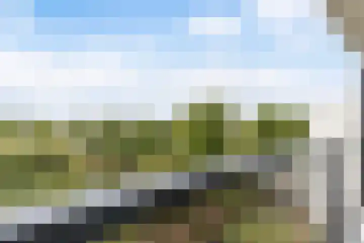 Pruylenborg 150 Zwijndrecht thumbnail 13