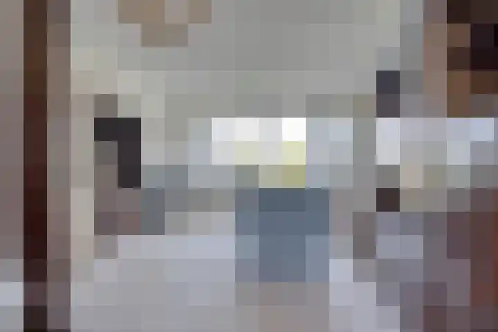 Pruylenborg 157 Zwijndrecht thumbnail 11