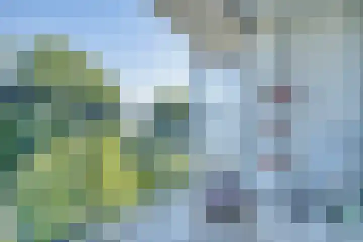 Pruylenborg 157 Zwijndrecht thumbnail 30