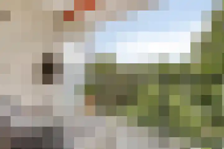 Pruylenborg 164 Zwijndrecht thumbnail 14