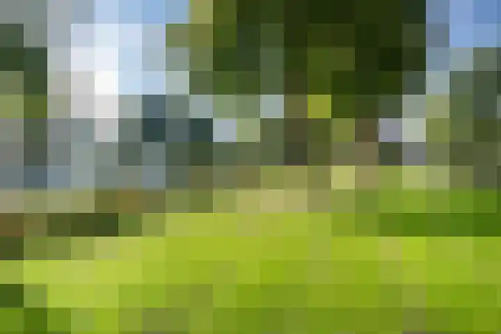 Pruylenborg 164 Zwijndrecht thumbnail 27
