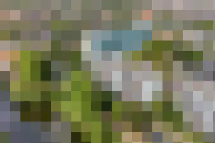 Pruylenborg 164 Zwijndrecht thumbnail 30