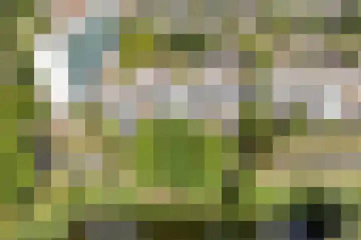Pruylenborg 164 Zwijndrecht thumbnail 31