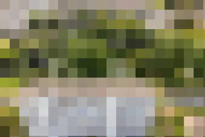 Pruylenborg 164 Zwijndrecht thumbnail 32