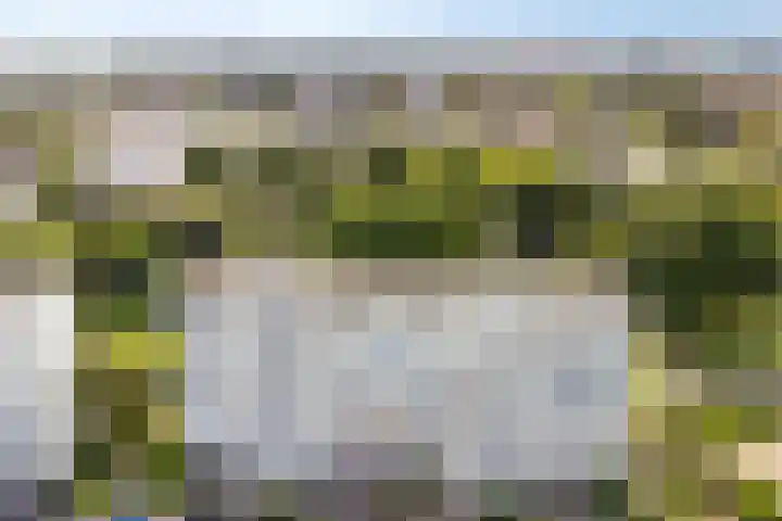 Pruylenborg 164 Zwijndrecht thumbnail 34