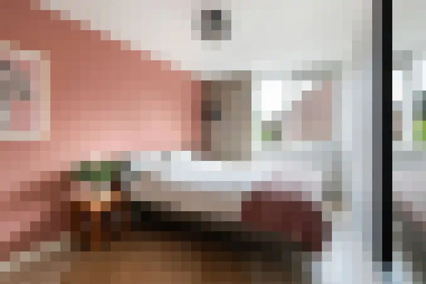 Pruylenborg 17 Hendrik-Ido-Ambacht thumbnail 18