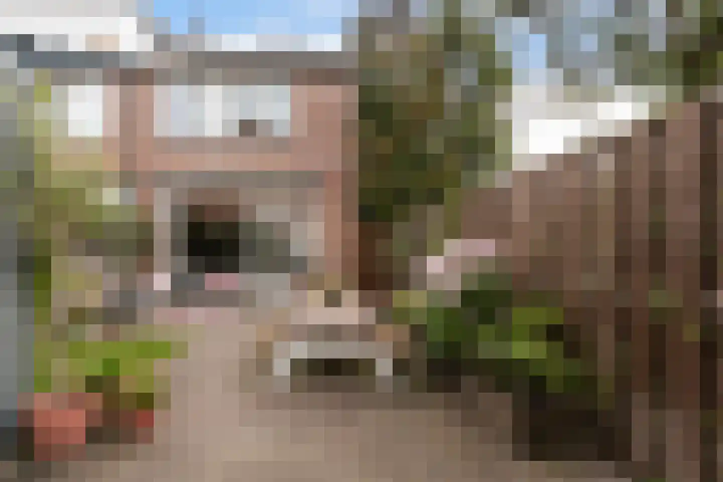 Pruylenborg 17 Hendrik-Ido-Ambacht thumbnail 28