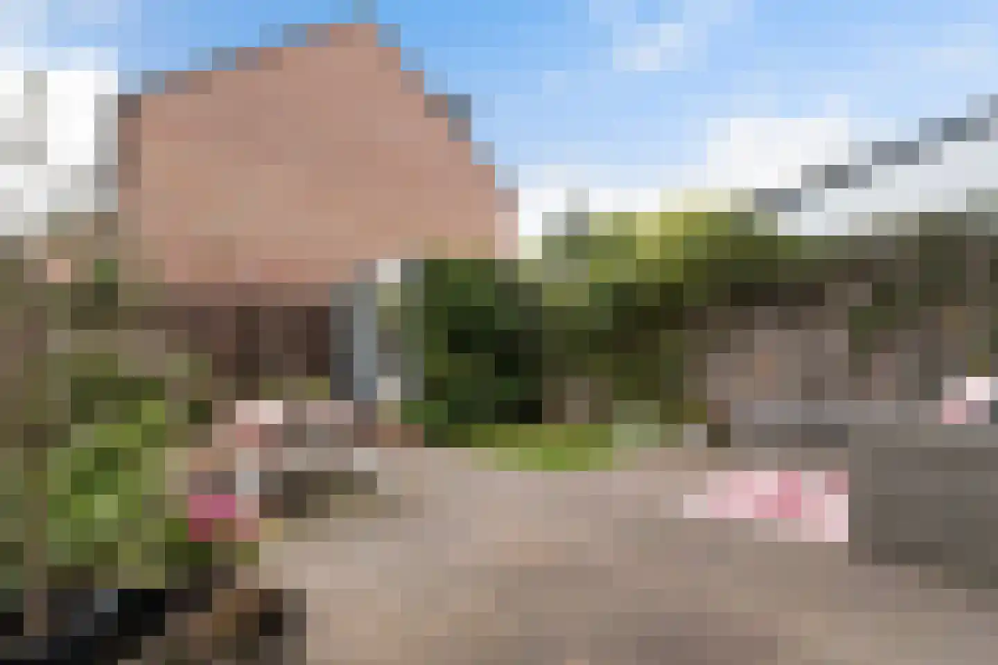 Pruylenborg 17 Hendrik-Ido-Ambacht thumbnail 31