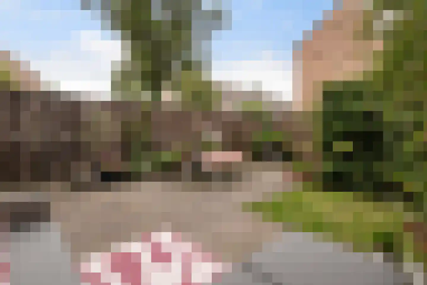 Pruylenborg 17 Hendrik-Ido-Ambacht thumbnail 34