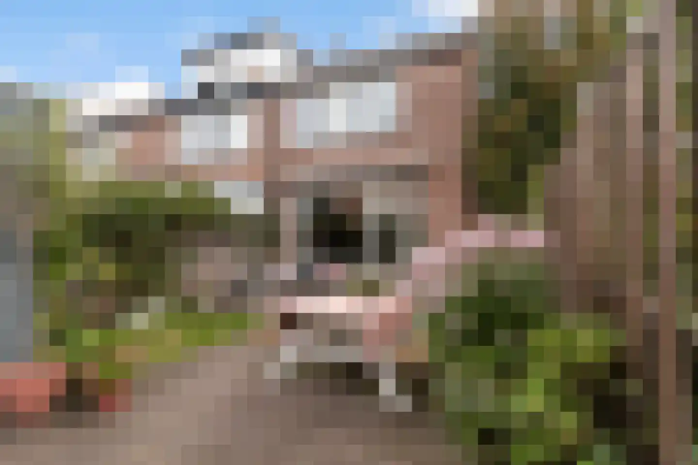 Pruylenborg 17 Hendrik-Ido-Ambacht thumbnail 4