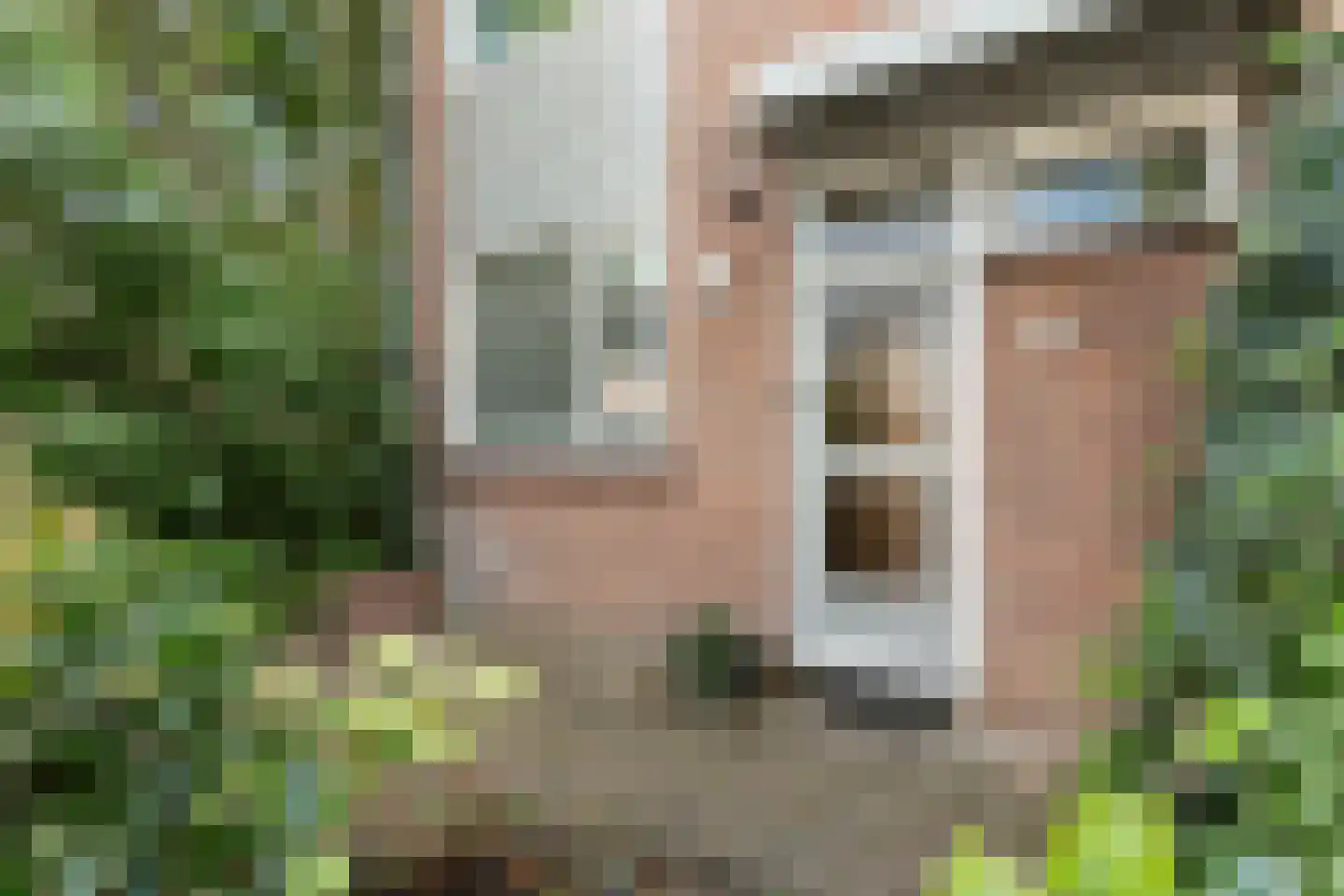 Pruylenborg 17 Hendrik-Ido-Ambacht thumbnail 6