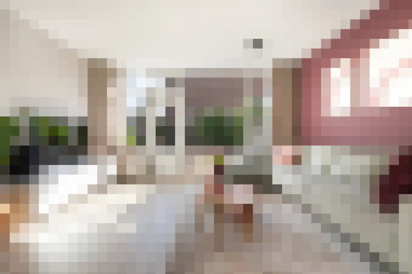 Pruylenborg 17 Hendrik-Ido-Ambacht thumbnail 9