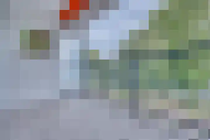 Pruylenborg 178 Zwijndrecht thumbnail 4