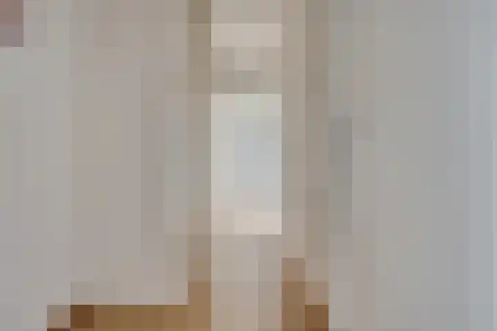 Pruylenborg 178 Zwijndrecht thumbnail 7