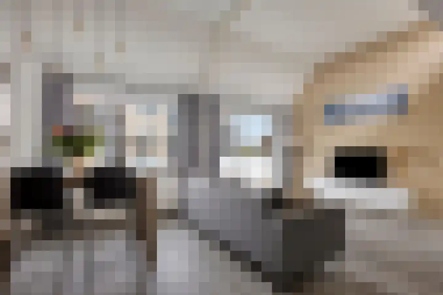 Pruylenborg 183 Hendrik-Ido-Ambacht thumbnail 8
