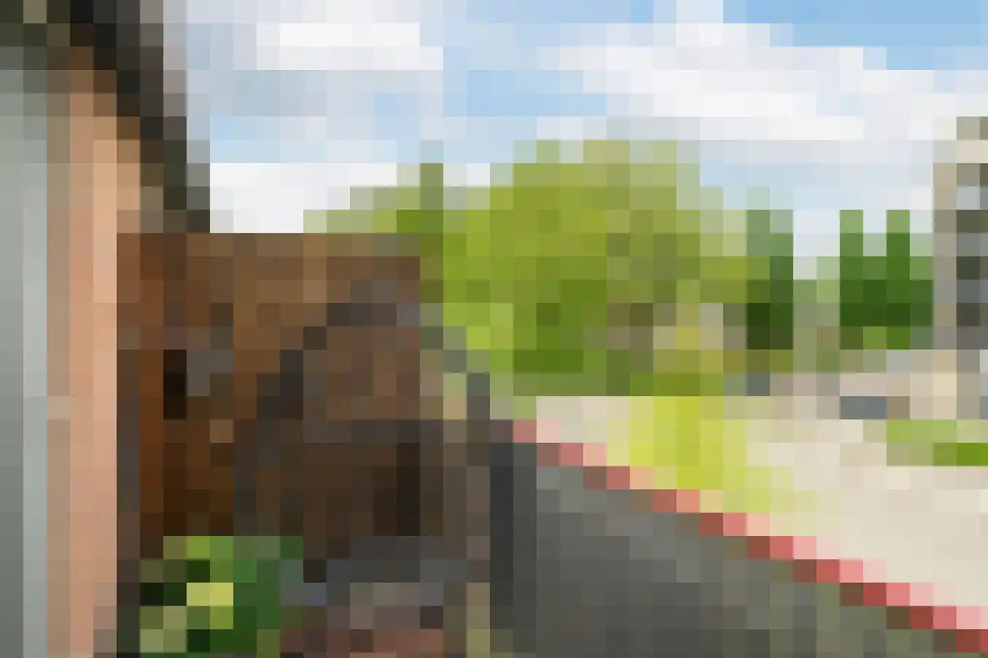Pruylenborg 185 Hendrik-Ido-Ambacht thumbnail 5
