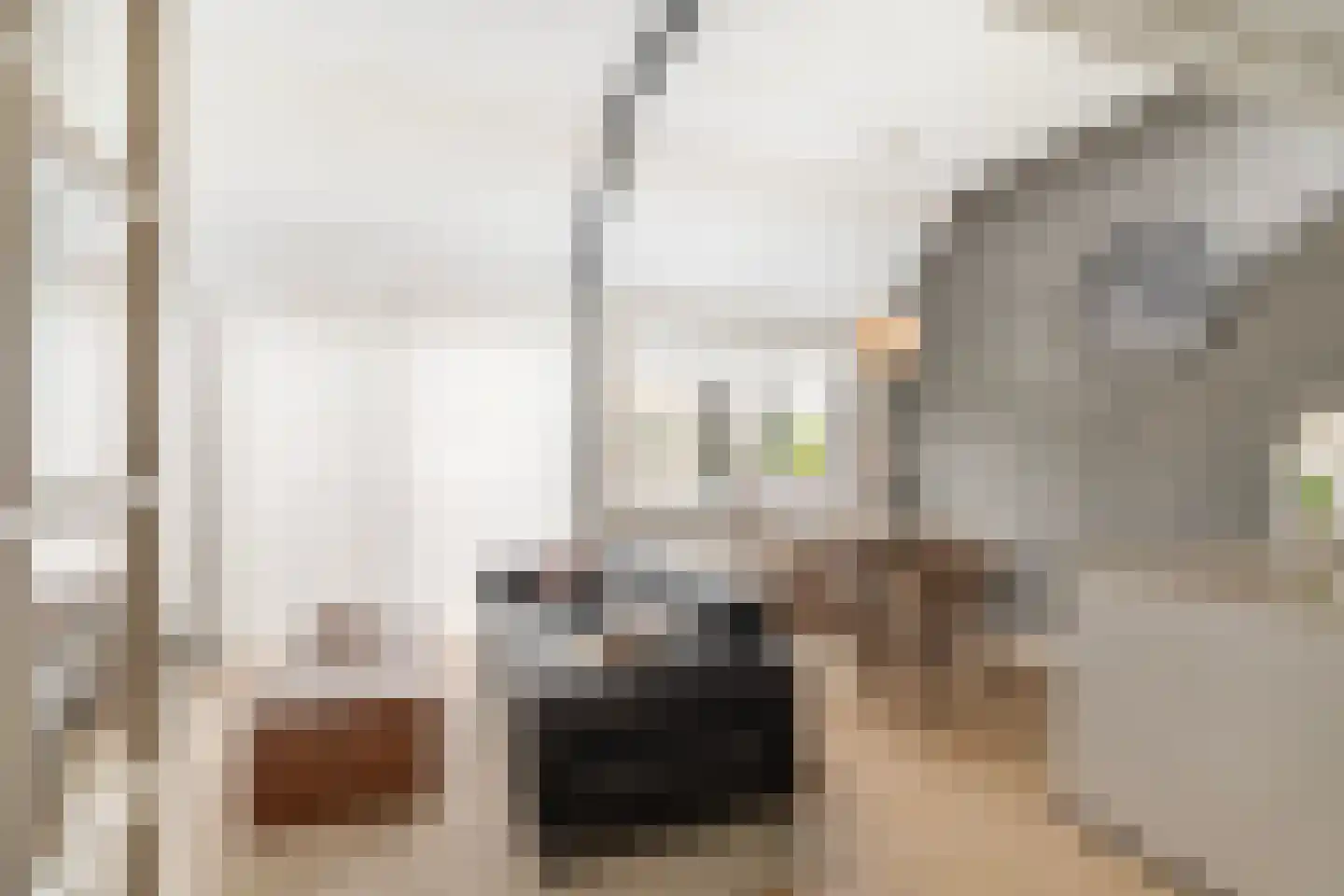 Pruylenborg 185 Hendrik-Ido-Ambacht thumbnail 8
