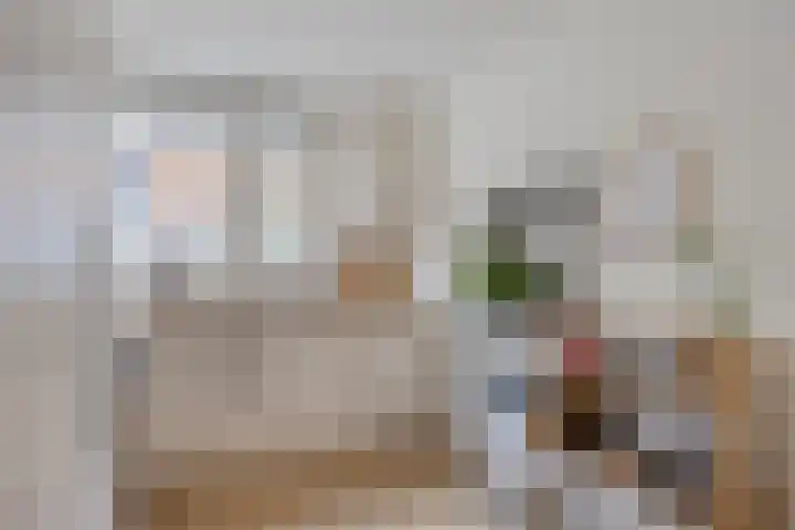 Pruylenborg 2 Hendrik-Ido-Ambacht thumbnail 10