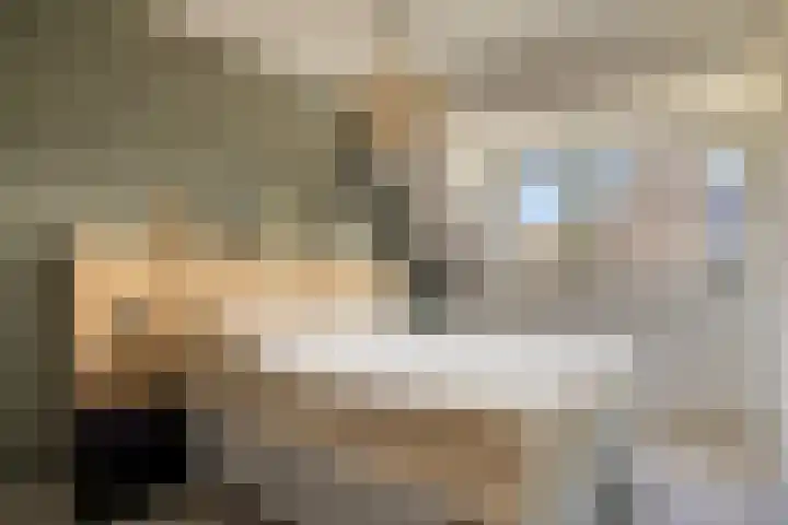 Pruylenborg 2 Hendrik-Ido-Ambacht thumbnail 12