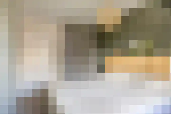 Pruylenborg 2 Hendrik-Ido-Ambacht thumbnail 13