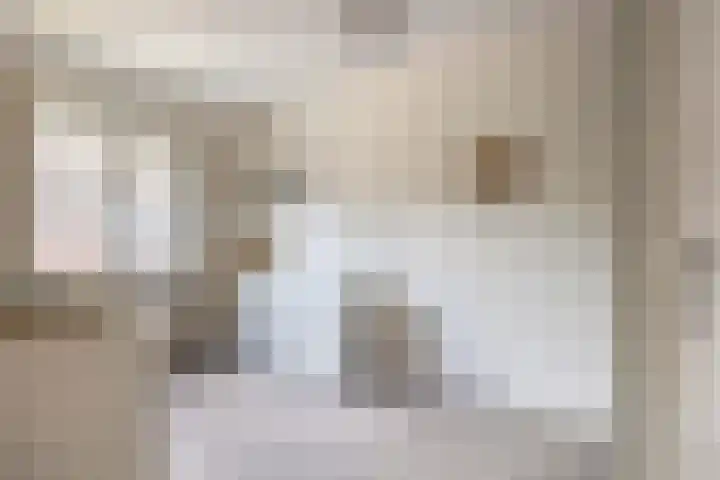 Pruylenborg 2 Hendrik-Ido-Ambacht thumbnail 18