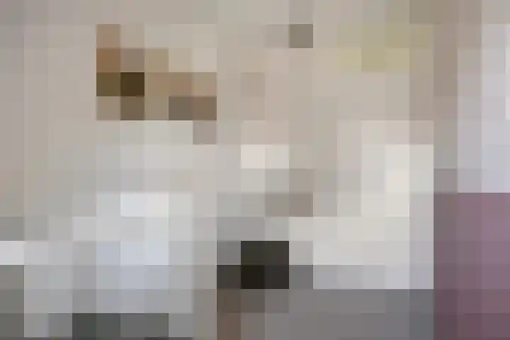 Pruylenborg 2 Hendrik-Ido-Ambacht thumbnail 22
