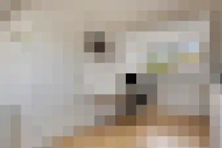 Pruylenborg 2 Hendrik-Ido-Ambacht thumbnail 24
