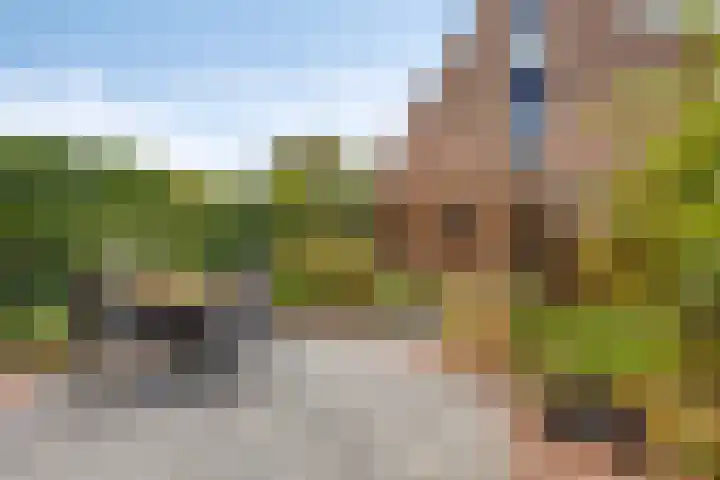 Pruylenborg 2 Hendrik-Ido-Ambacht thumbnail 4