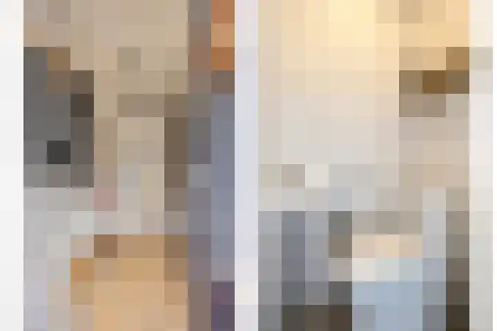 Pruylenborg 2 Hendrik-Ido-Ambacht thumbnail 5