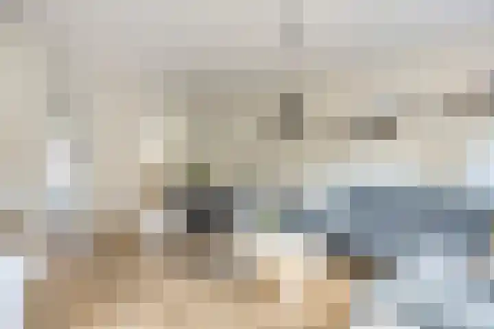 Pruylenborg 2 Hendrik-Ido-Ambacht thumbnail 6