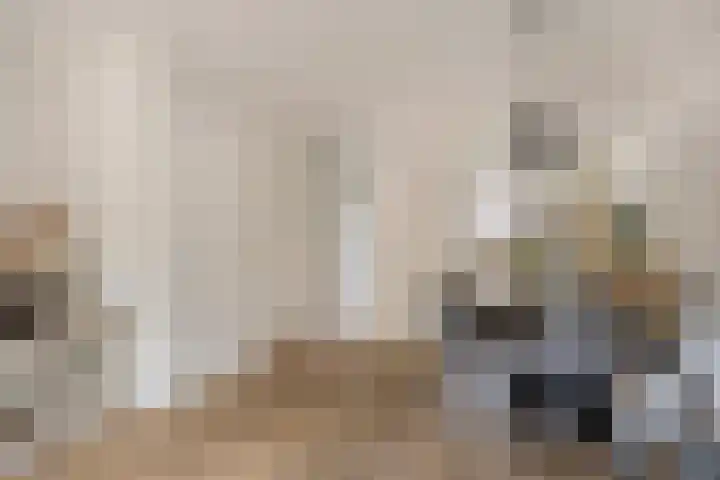 Pruylenborg 2 Hendrik-Ido-Ambacht thumbnail 7