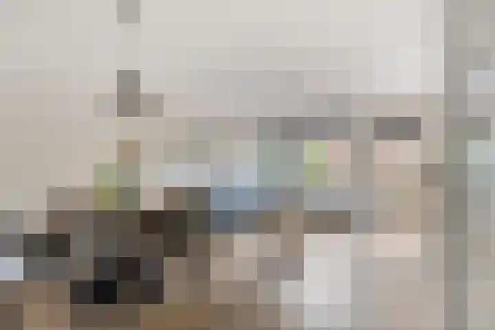 Pruylenborg 2 Hendrik-Ido-Ambacht thumbnail 8