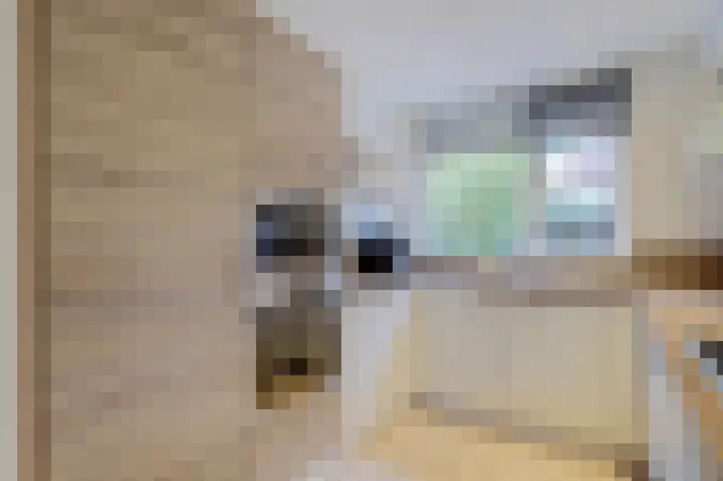 Pruylenborg 26 Hendrik-Ido-Ambacht thumbnail 20