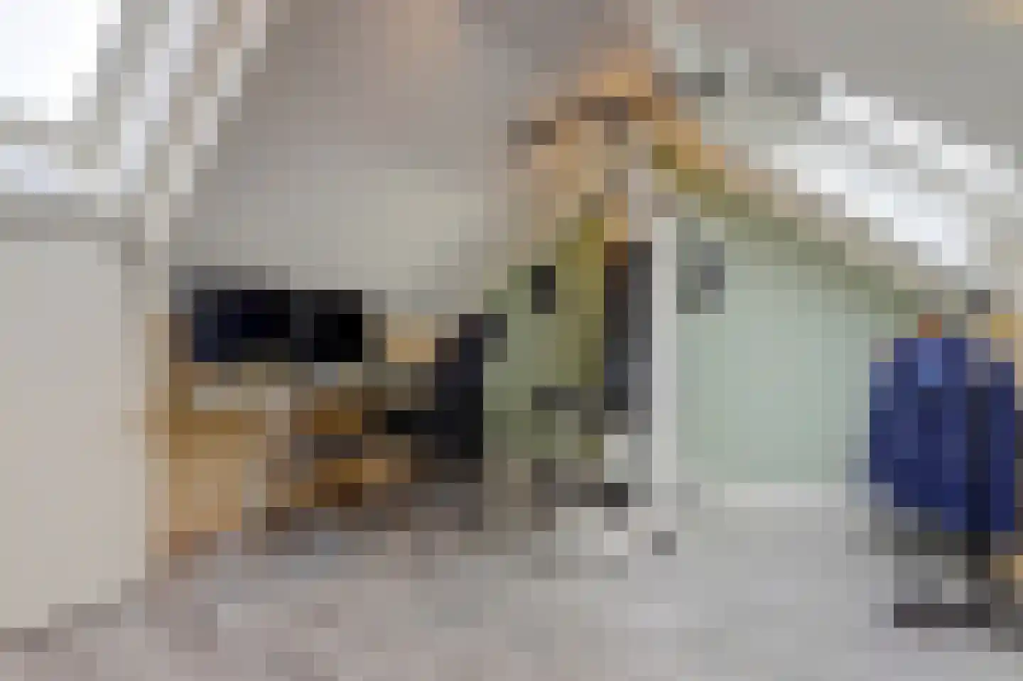 Pruylenborg 26 Hendrik-Ido-Ambacht thumbnail 33