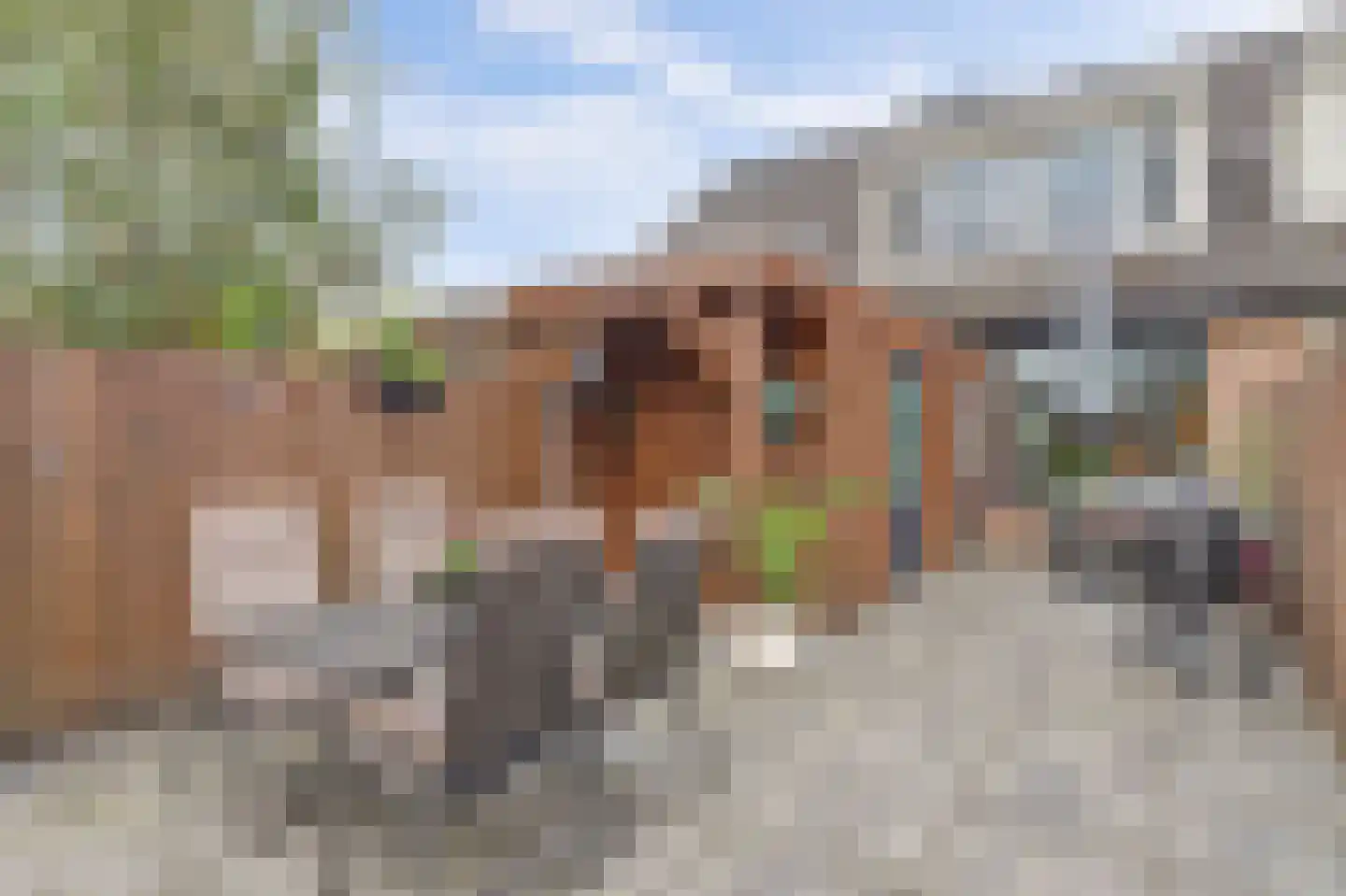 Pruylenborg 26 Hendrik-Ido-Ambacht thumbnail 37