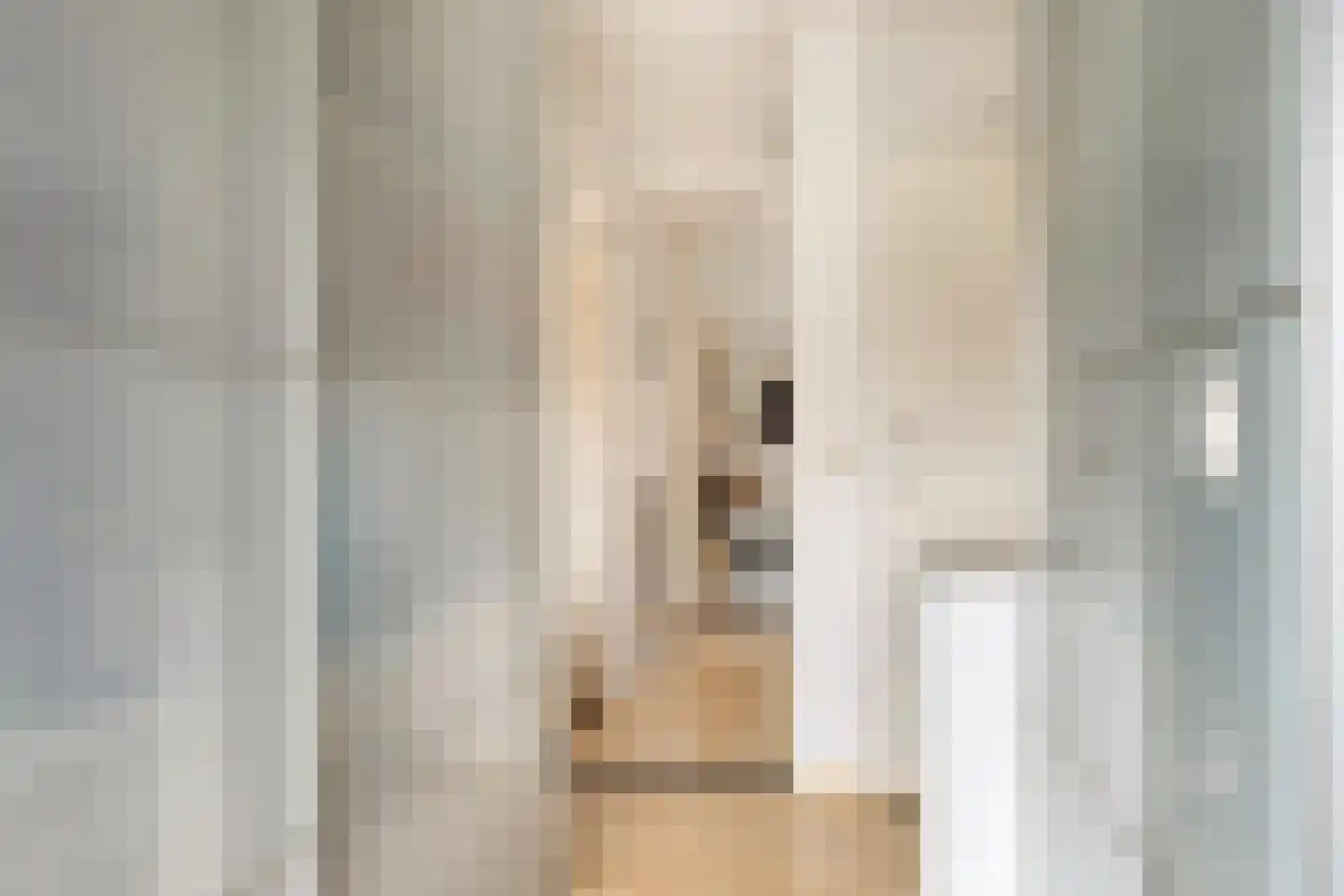Pruylenborg 32 Hendrik-Ido-Ambacht thumbnail 37