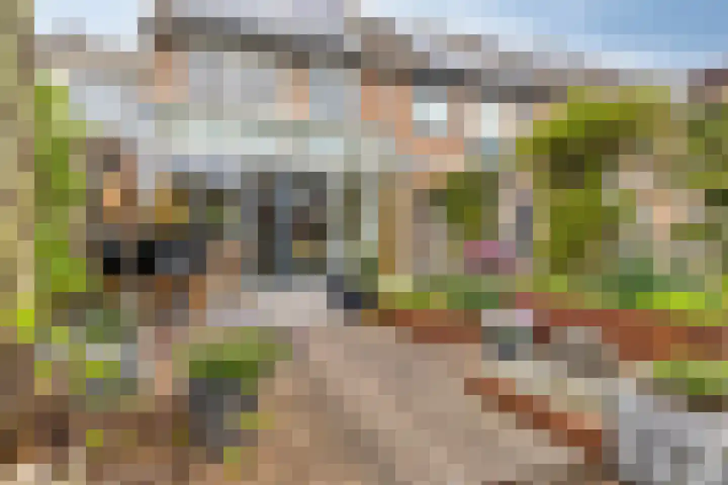 Pruylenborg 32 Hendrik-Ido-Ambacht thumbnail 4