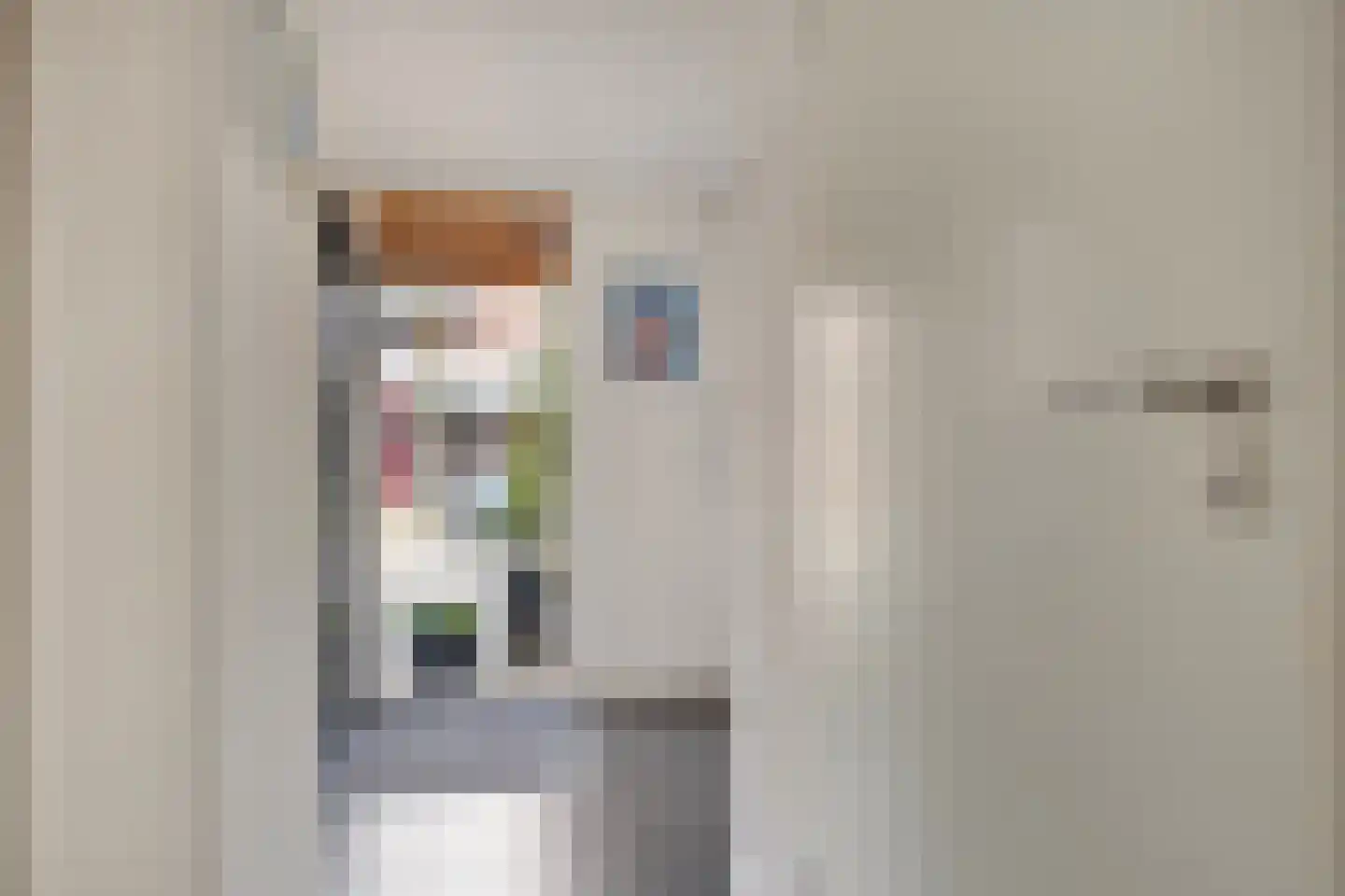 Pruylenborg 32 Hendrik-Ido-Ambacht thumbnail 7