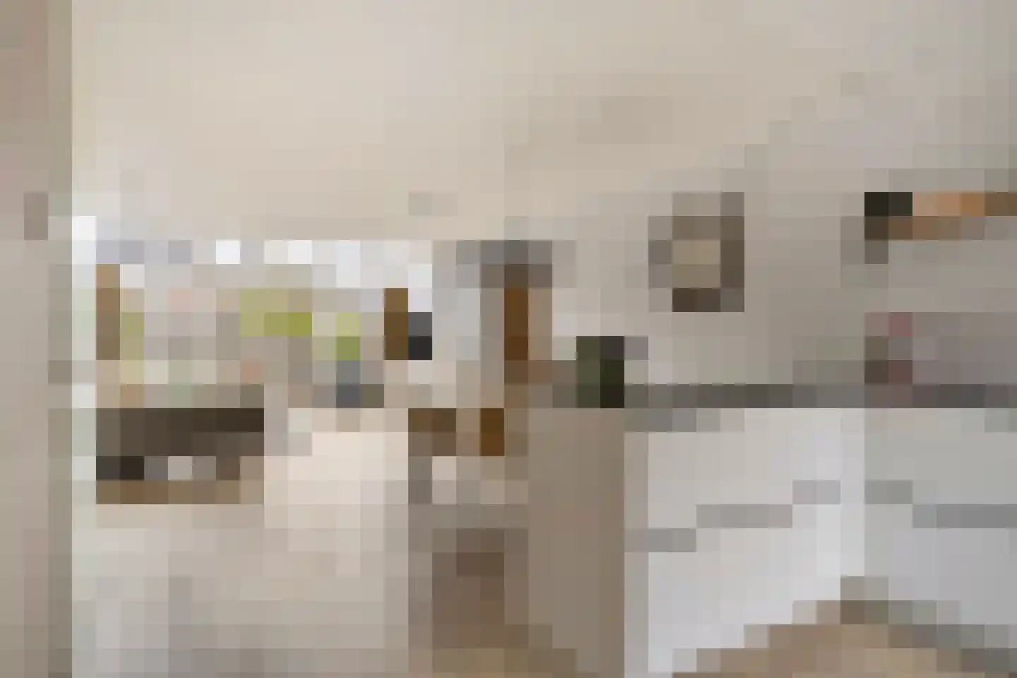 Pruylenborg 32 Hendrik-Ido-Ambacht thumbnail 8